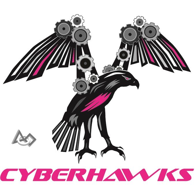 Cyberhawk logo